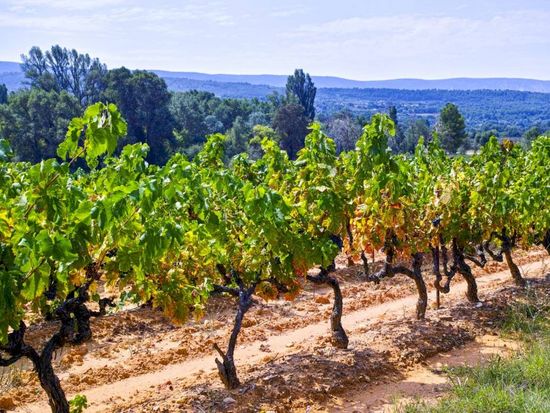 ophorus-734018-provence-wine-tour-shared-half-day-trip-from-aix-en-provence_large
