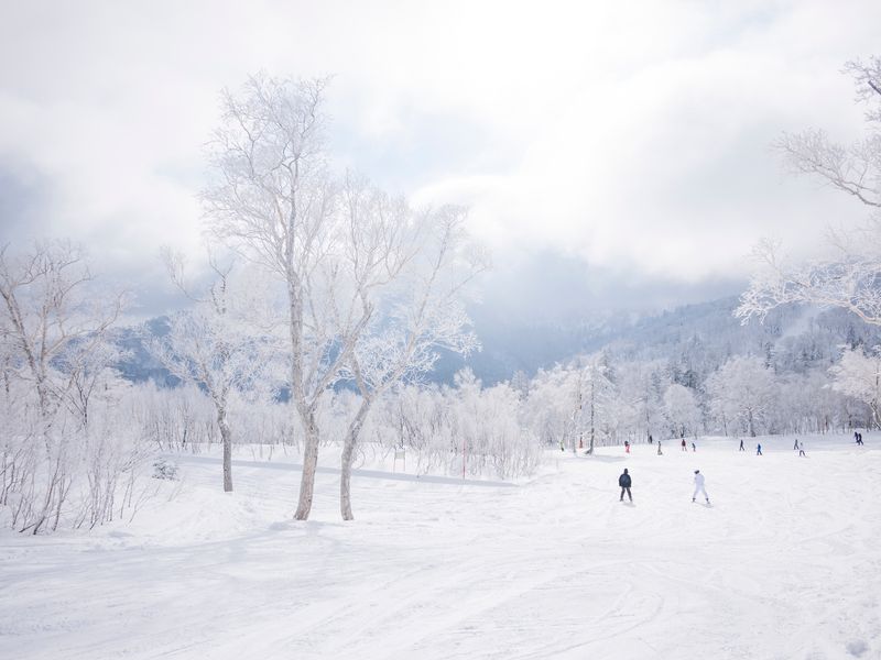 札幌国際滑雪场 small