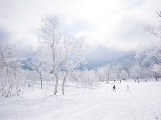 札幌国際滑雪场 small