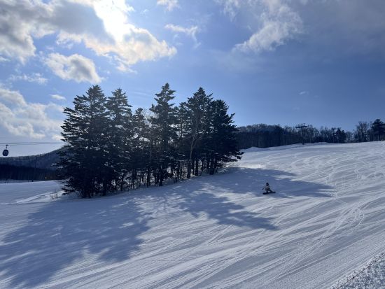 北海道札幌藻岩山スキー場  プライベートスキーレッスン＜国際認定インストラクター・中英日対応・無料撮影付き＞