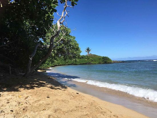 molokai_veltra06