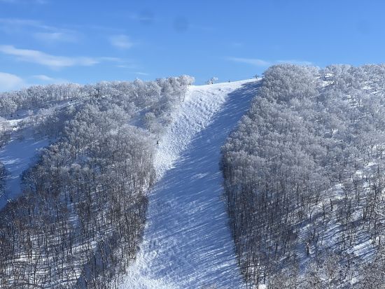 北海道ルスツリゾートスキー場  プライベートスキーレッスン【公式認定スキースクール】＜国際認定インストラクター・中英日対応・無料撮影付き＞