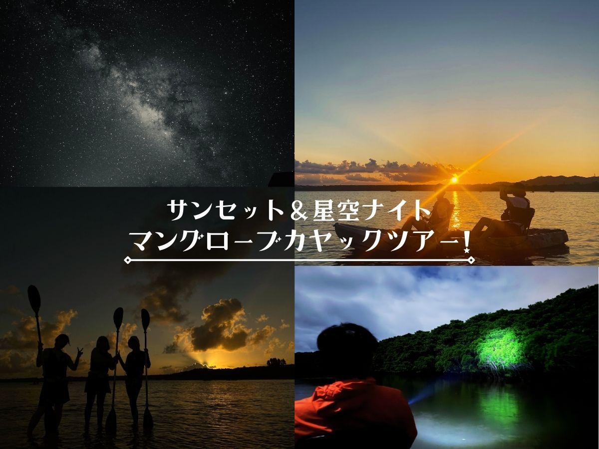 ナイトカヤック | 石垣島・八重山 旅行の観光・オプショナルツアー予約