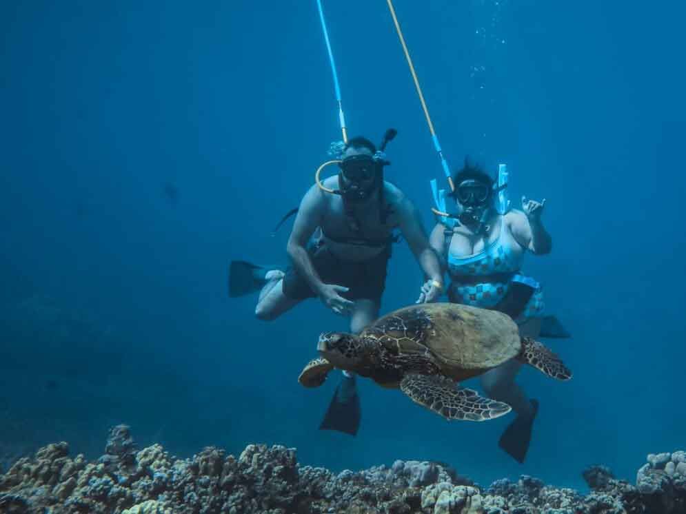 Molokini Crater & Turtle Arches Snorkeling Tour & Snuba Dive