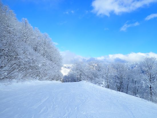 十胜Sahoro滑雪场