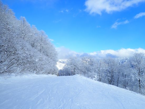 北海道サホロリゾートスキー場  プライベートスキーレッスン＜国際認定インストラクター・中英日対応・無料撮影付き＞