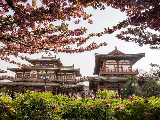 青龙寺