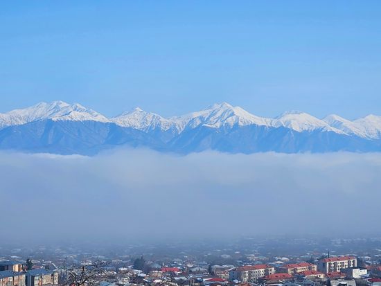 Telavi 3