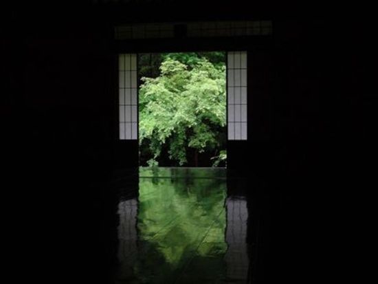 京の奥座敷・貴船の川床料理と貴船神社 京都の夏の風物詩や世界遺産へもご案内＜梅田 or 新大阪発＞の写真5