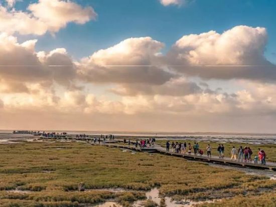 Gaomei Wetlands4