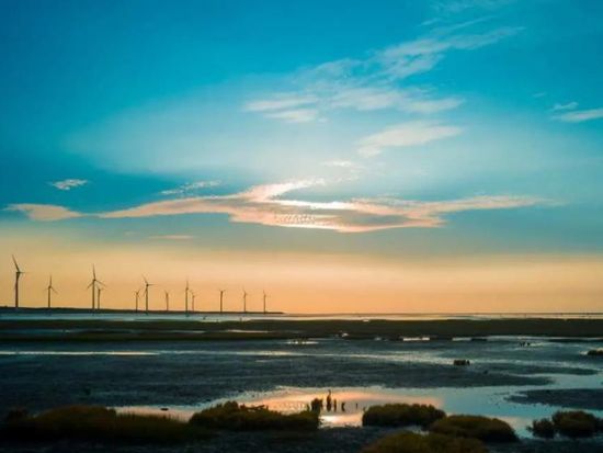 Gaomei Wetlands8