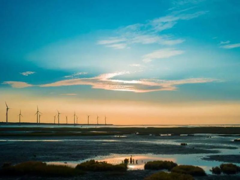 Gaomei Wetlands8