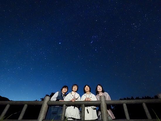 ホタルナイトツアー 3ヶ月間しか見ることができないヤエヤマヒメボタルの観賞と石垣島の星空フォト・鑑賞付き♪美ら星マイスターと巡る＜約3時間／送迎付き／3～6月＞の写真4