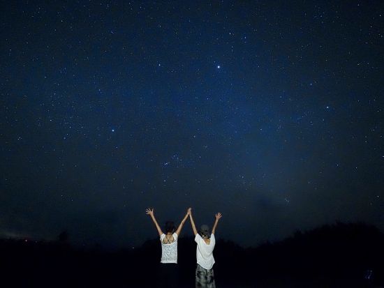 ホタルナイトツアー 3ヶ月間しか見ることができないヤエヤマヒメボタルの観賞と石垣島の星空フォト・鑑賞付き♪美ら星マイスターと巡る＜約3時間／送迎付き／3～6月＞