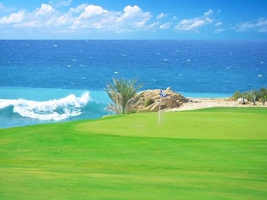 【Los Cabos でゴルフ！】Cabo real カボレアル ゴルフ