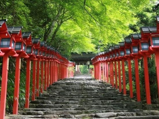 名古屋発日帰りバスツアー 貴船川床料理と貴船神社散策 右源太で味わう鱧＆鮎のご昼食＜6月～9月／名古屋駅発＞
