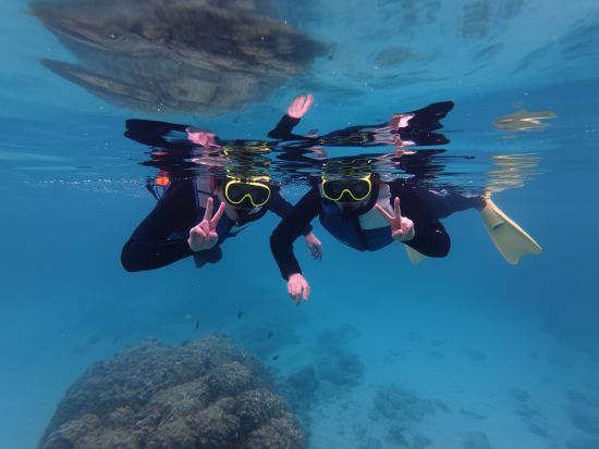奄美大島〈お得なセットプラン〉【SUP＋シュノーケル＋マングローブカヌー＋ナイトツアー 】美しい白浜が広がる奄美大島！おひとり様も可能 by 奄美シーランド