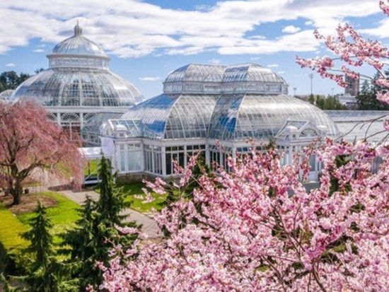 ニューヨーク植物園 オールガーデンパス　トラムツアー＆温室入場付き