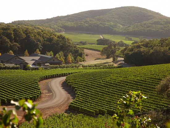 KE Tasting Room Vineyards - LO RES copy 2