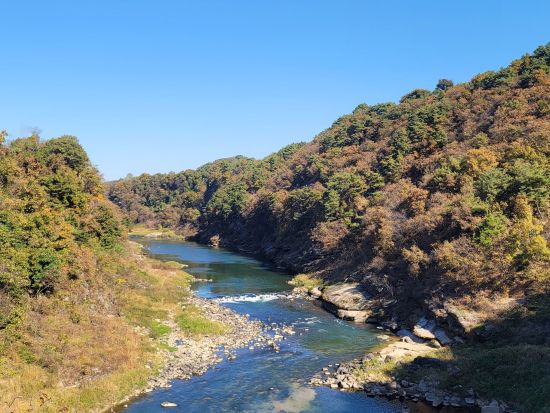 漢灘江ユネスコ世界ジオパーク＆抱川（ポチョン）日帰りツアー　Y字型吊り橋＆ピンクサンド＆アートバレーなど ＜1名参加OK／選べる出発地／英語ガイド＞