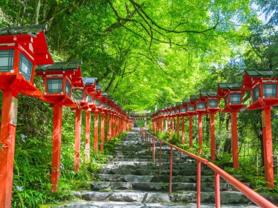 名古屋発日帰りバスツアー 貴船川床料理と貴船神社散策 右源太で味わう鱧＆鮎のご昼食＜6月～9月／名古屋駅発＞