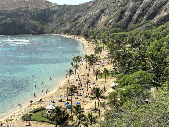 ハナウマ湾シュノーケリング　オアフ島屈指の絶景スポットでシュノーケリング体験！＜午前・午後／英語インストラクター＞
