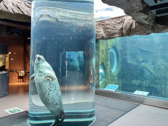 Asahikawa_Asahiyamazoo_Asahikawa shi01