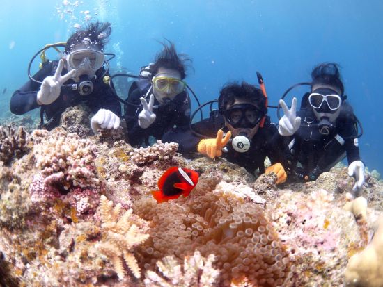 体験ダイビング 半日・1日から選べる2プラン 少人数制で安心して参加OK◎サンゴ礁と熱帯魚の海中世界を満喫＜石垣島＞