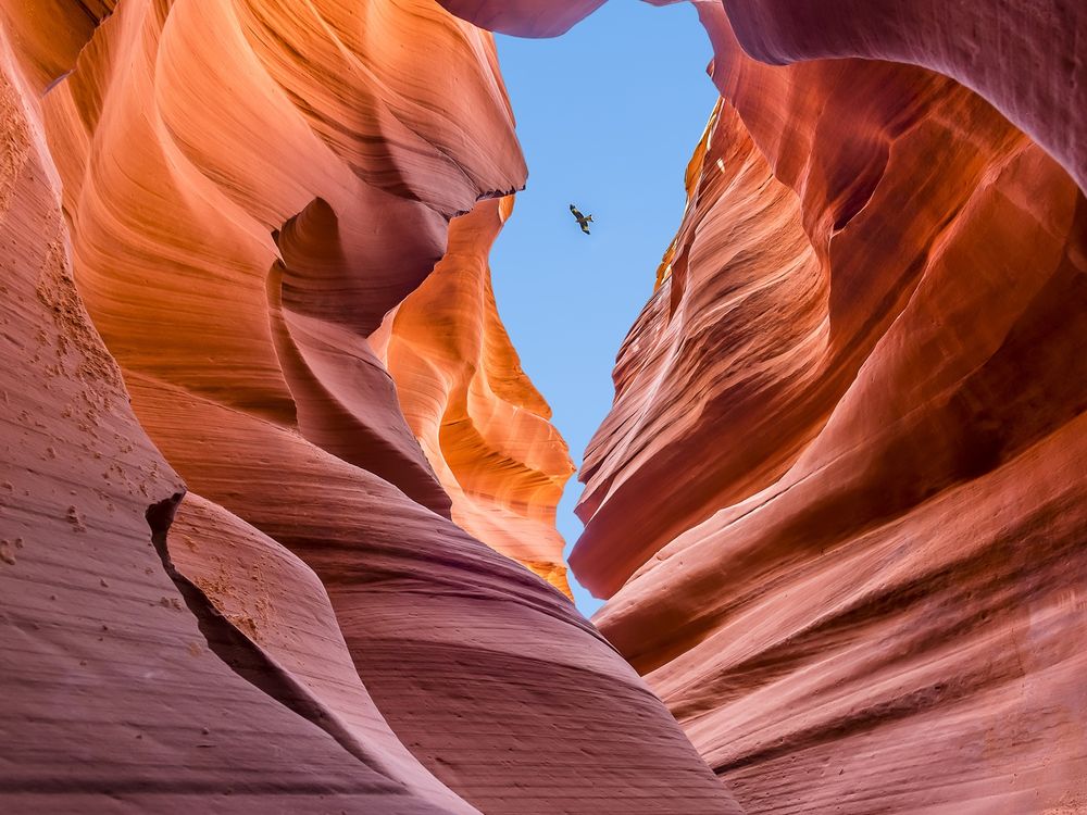USA_Arizona_Antelope Canyon_lower Antelope Canyon_shutterstock_576341932