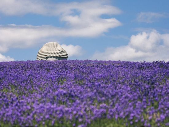 Sapporo_BigBudda_Takino reien02
