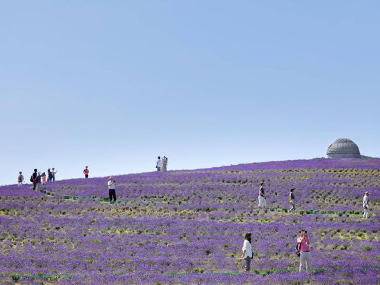 Sapporo_BigBudda_Takino reien03