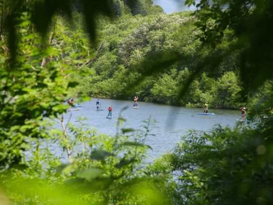 リバーSUP ニセコの大自然と尻別川を楽しむ爽快クルーズ体験＜6月～10月／3時間半／倶知安町＞
