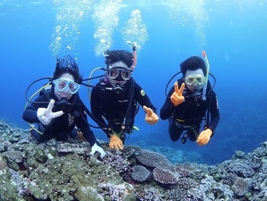 PADIダイビングライセンス講習 初心者歓迎◎少人数制で学ぶライセンス取得コース＜石垣島／2日間 or 3日間＞