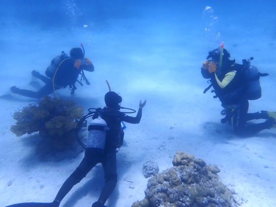 PADIダイビングライセンス講習 初心者歓迎◎少人数制で学ぶライセンス取得コース＜石垣島／2日間 or 3日間＞