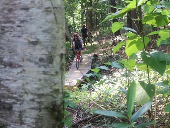 mtb (1)