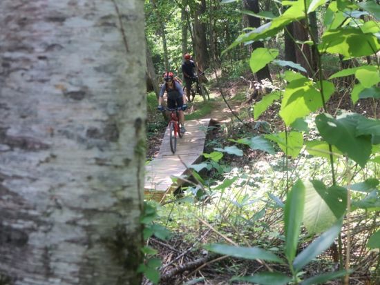 ニセコグラベルロードバイクツアー 羊蹄山や尻別川を巡る絶景サイクリング＜6月～10月／3時間半／倶知安町＞