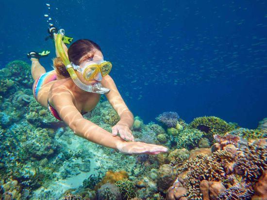 ハワイ島 ケアラケクア湾　シュノーリングツアー　キャプテン・クック記念碑周辺の海を満喫＜朝食・昼食付き／英語ガイド＞