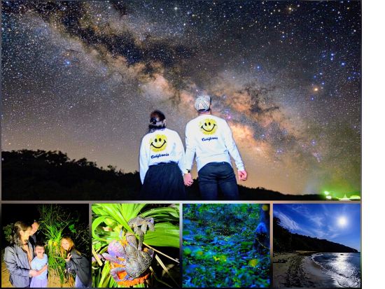 送迎無料＆当日予約17時まで★【ヤシガニ99.9％高遭遇率＆星空鑑賞＆ビーチ＆ホタル鑑賞】星空ナイトジャングル＆ドライブツアー！1組貸切有★ ＜ 石垣島＞