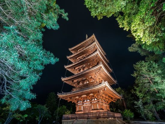 京都バスツアー 夜の夏の旅 下鴨神社「御手洗祭」＋仁和寺 国名勝指定の庭園ライトアップ＜約4時間／京都駅発＞by おこしバス（京都定期観光バス）
