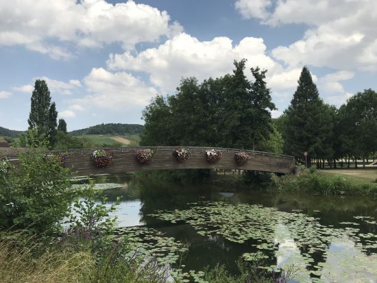 辛口ワインの名産地・シャブリを巡る小さな旅 ～ランチとシャブリワインの試飲付き～  ＜貸切／日本語／専用車／パリ発＞ by H.I.S.
