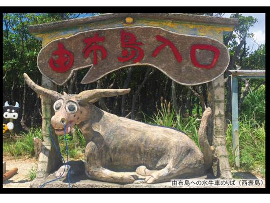 image (1)