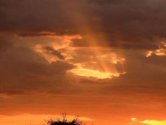 Masai Mara Sunset ©hikaruhimika