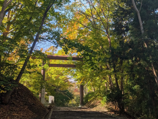 札幌発ウォーキングツアー 北海道神宮＆白い恋人パーク散策と北海道スイーツ満喫＜スウィーツ付／3時間／ 円山公園駅発＞
