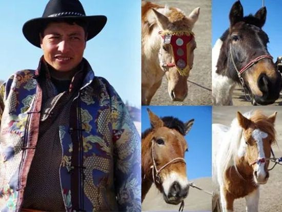 日帰り乗馬体験ツアー　未経験OK！ナライハ草原を馬で巡る大自然アクティビティ　遊牧民ゲルランチ付き＜混載／日本語ガイド＞