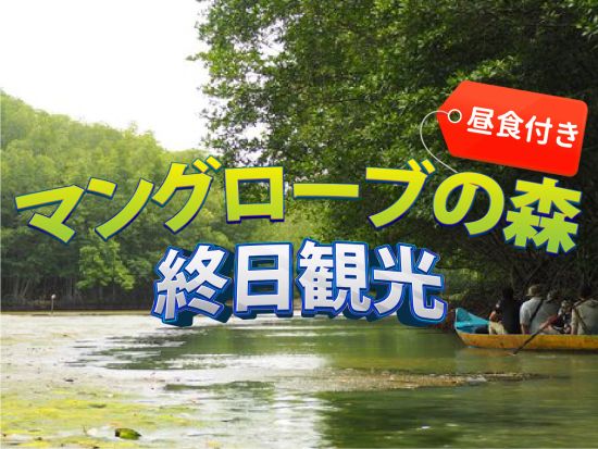 カンザーエコツアー　ユネスコ保護区指定のマングローブの森探検＆クルーズ体験　＜日本語ガイド／地産地消のシーフード昼食付き／ホーチミン発着＞