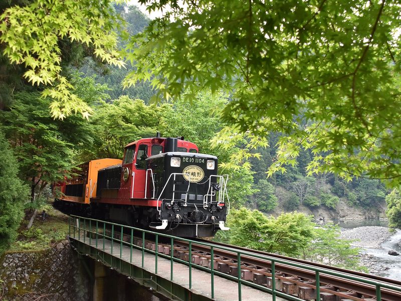 26.TH トロッコ列車 (1)