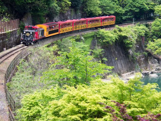 京都バスツアー トロッコ列車と竹仙の冷やしどうふ＜夕食付／京都駅発＞by おこしバス（京都定期観光バス）
