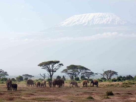 Amboseli Serena Safari lodge - Game Drive (1)
