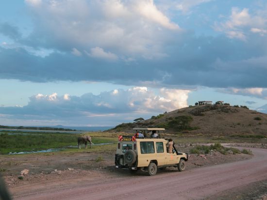 Amboseli Serena Safari lodge - Game Drive (3)