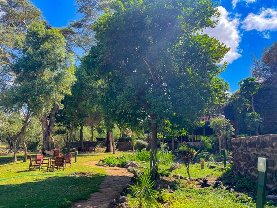 Amboseli Serena Safari lodge (6)